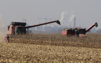 A corn harvest and processing facility in Illinois produces some 350 million ga/yr of fuel ethanol.